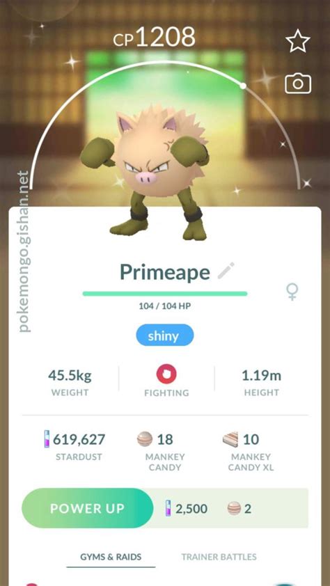 shiny primeape pokemon go|night slash pokemon go.
